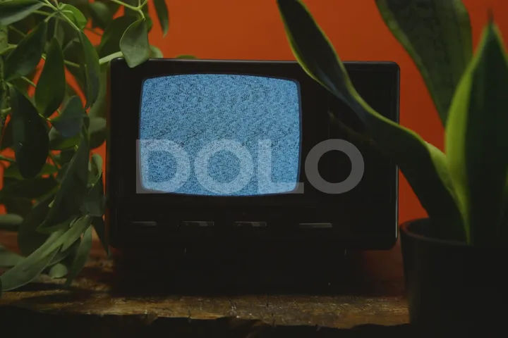 Vintage Television with Wind-Blown Plants, Version 1