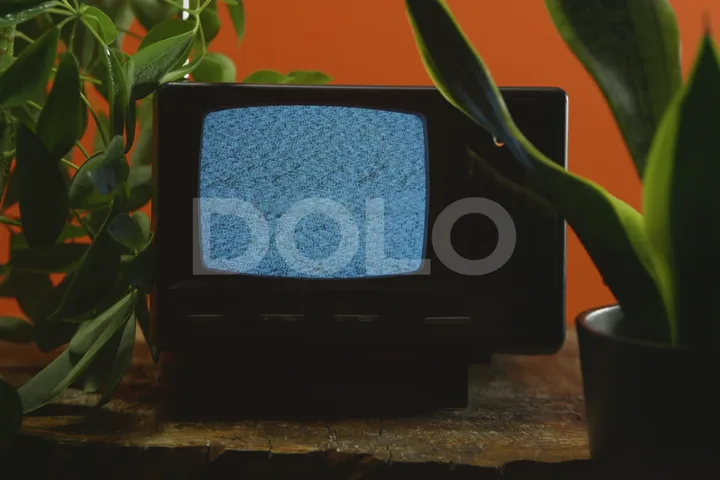 Vintage Television with Moving Foliage, Version 2